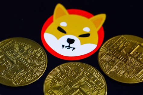 shiba inu coin gucci|who made shiba inu coin.